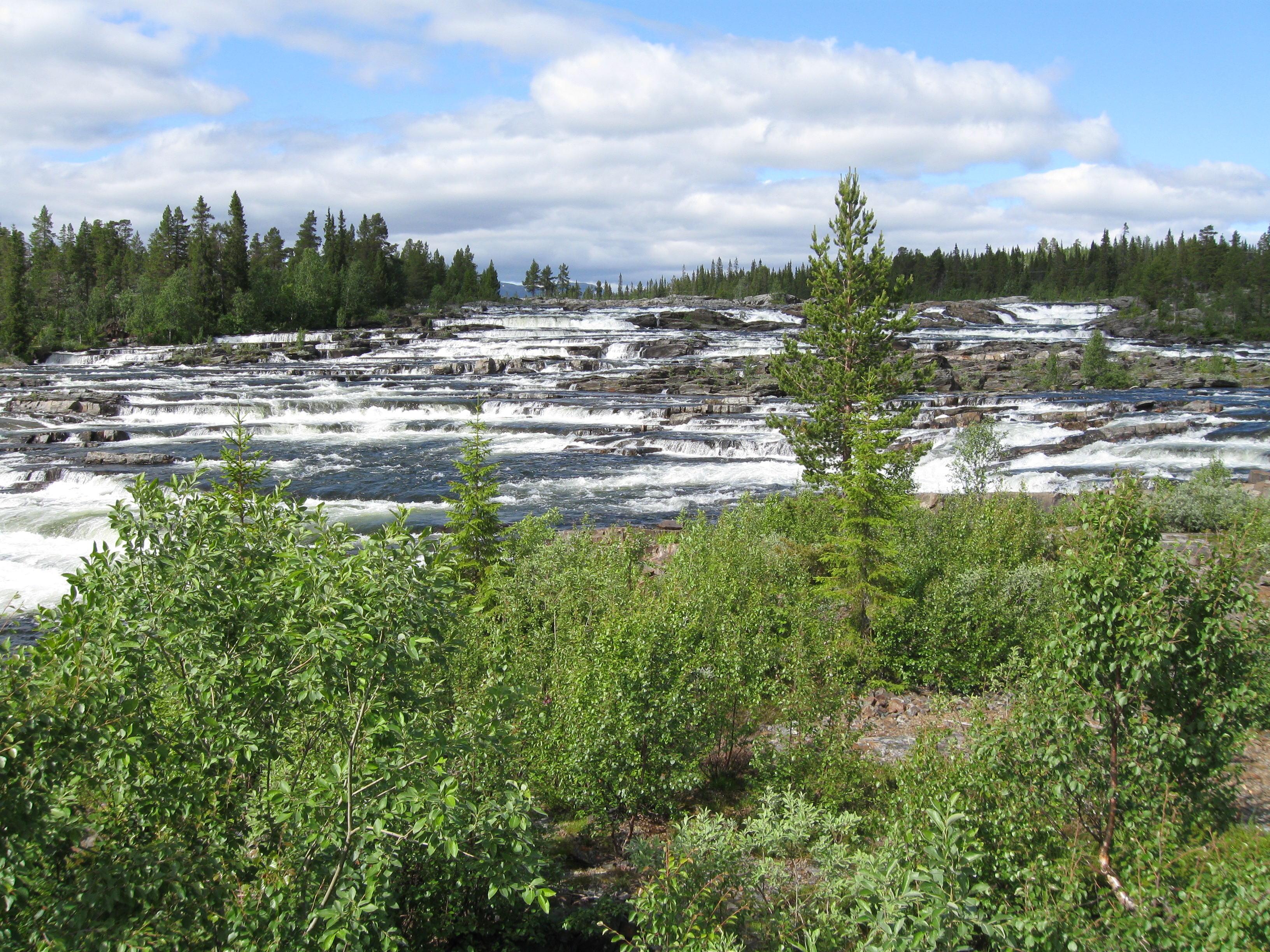 Mosquito country, a waterfall in stairs with small spruce trees
