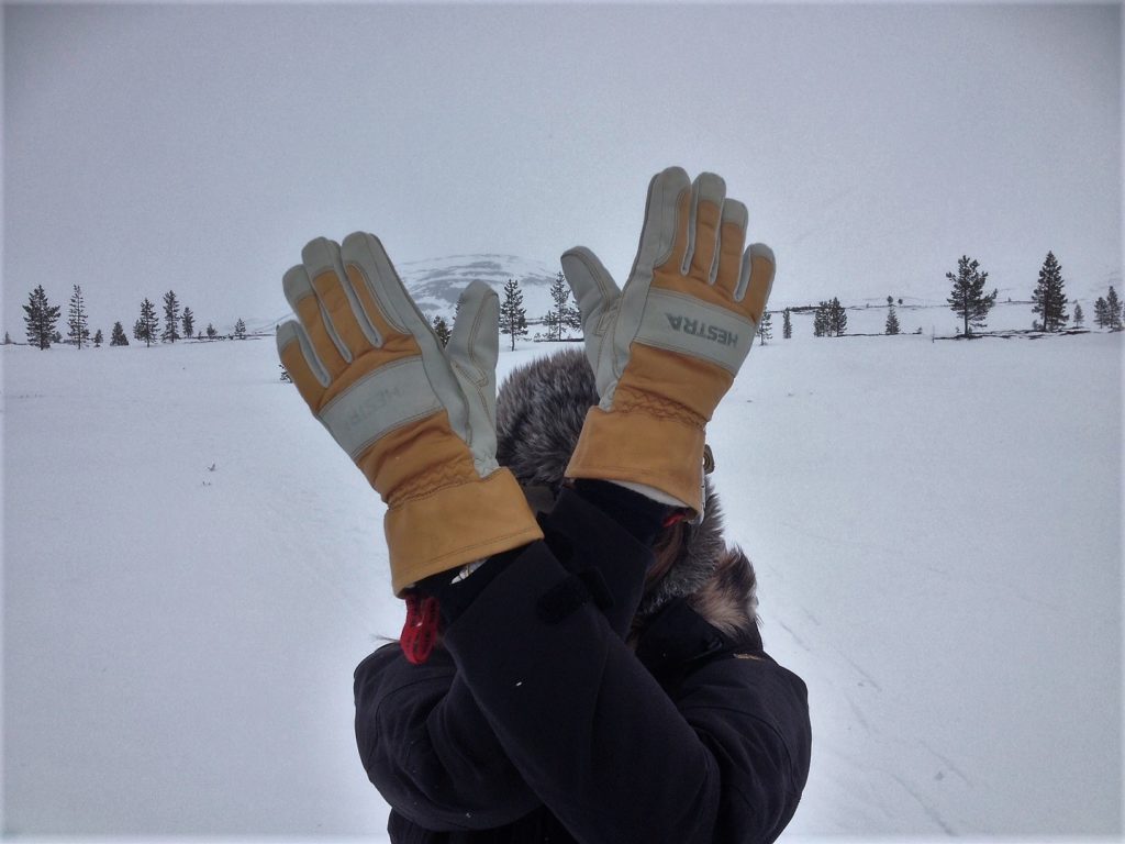 Wearing Hestra gloves on a cold Scandinavian day