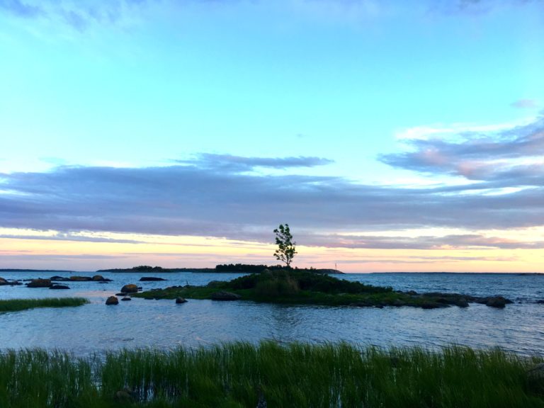 Tree on island, sea and purple sky. Image Petter Elmberg.